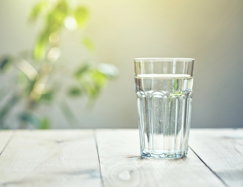 clean glass of water with plants in the background pool chemicals image